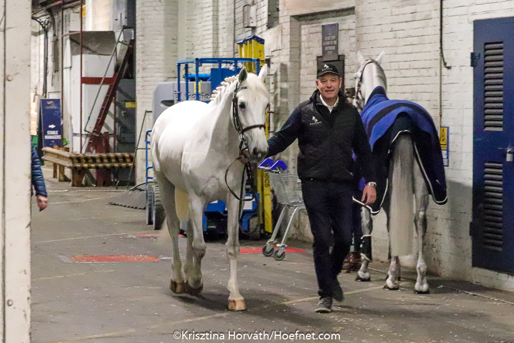 London Olympia 2019: horse inspection