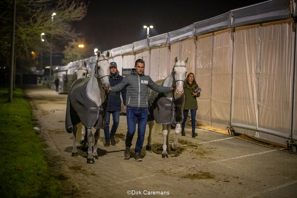 Mechelen 2019: Horse Inspection