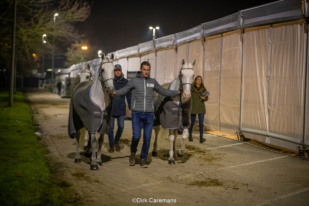 Mechelen 2019: állatorvosi kontroll