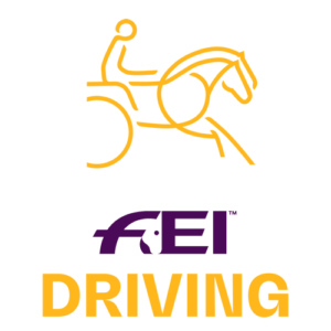 FEI Driving World Championship for Young Horses 2022 to Szilvásvárad