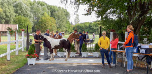 Zertifizierter FEI Pony-Messplatz in München-Riem