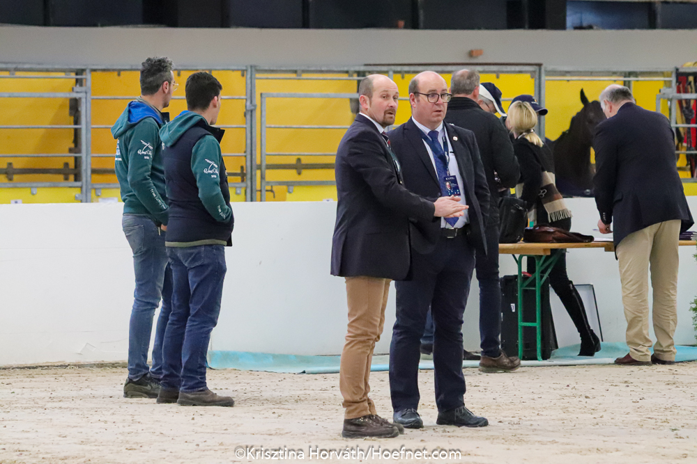 Bordeaux 2020: horse inspection