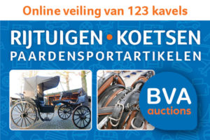 BVA Auctions veilt grote collectie van de Detzkyhoeve