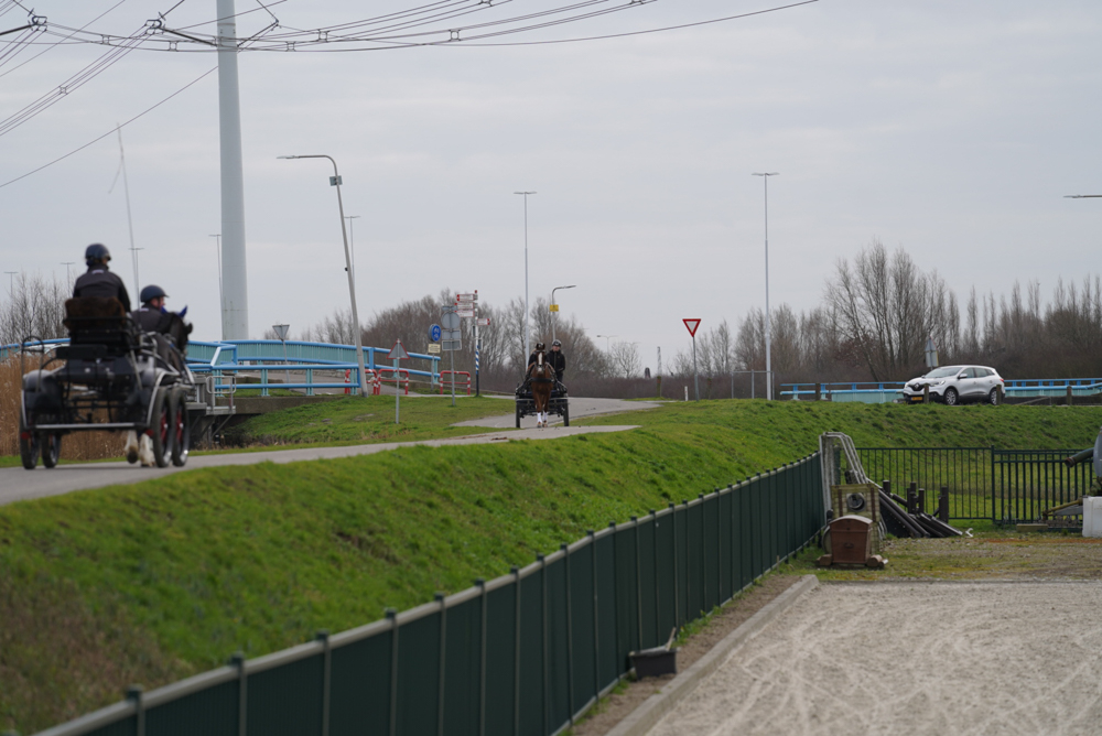 EK Selectiedag voor jeugdmenners Den Hoorn