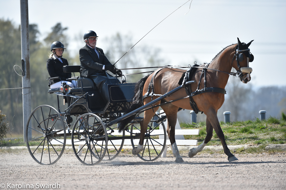 Training day Laholm, Sweden