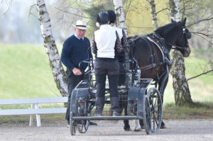Nicke and Lotta Pålsson conduct successful training in Laholm