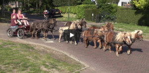 Ponymenners dagen elkaar ook uit met langspannen