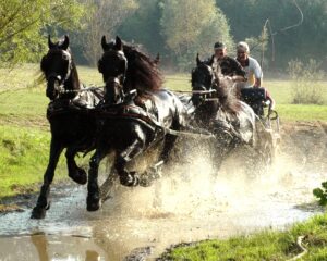 Hoe is het nu met …….. Peter Cornelissen?