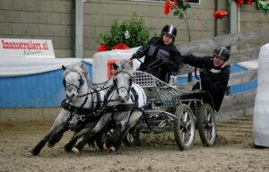 Ponyspan Twinkie & Vanaty van sport naar fokkerij