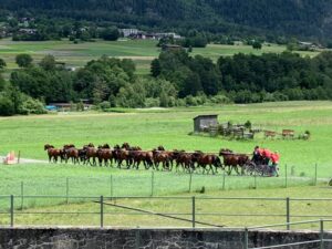 Jérôme Voutaz, with a 20 horse hitch through the Swiss countryside