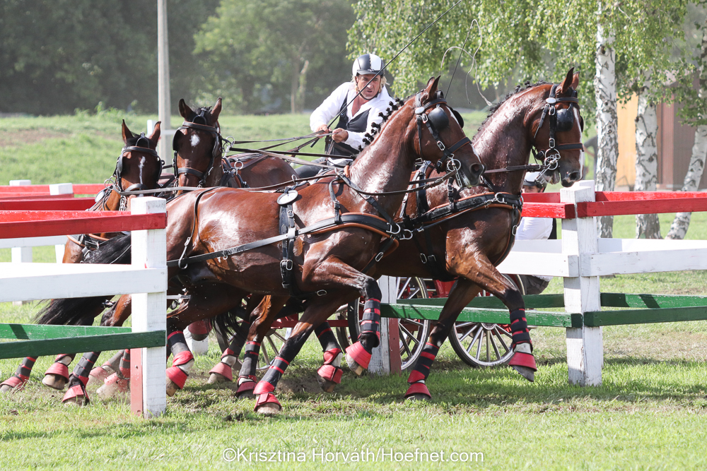 Valse start voor Zoltán Lázár