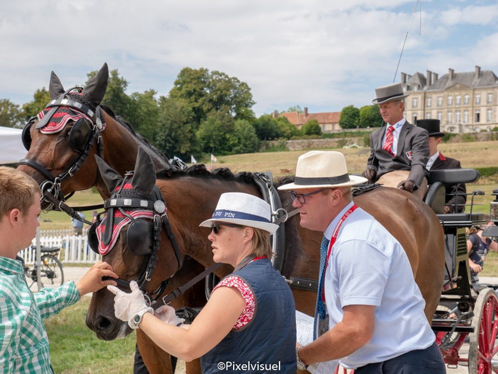 Le Pin 2020: Horse Inspection & Dressage Thursday