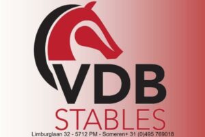 VDB Stables op locatie: zeer geslaagde trainingsdag Houten