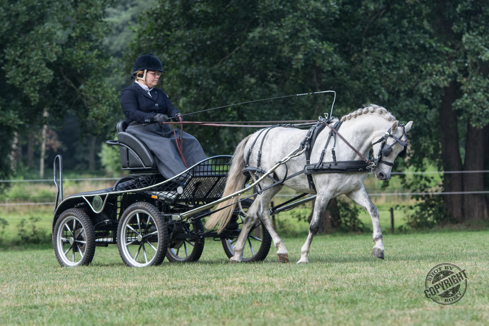 Trainingsdag HPH Stables 1 augustus 2020