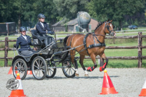 Kennismaking met de nieuwe leden van het Perspectieventeam (2): Jeanine Benschop