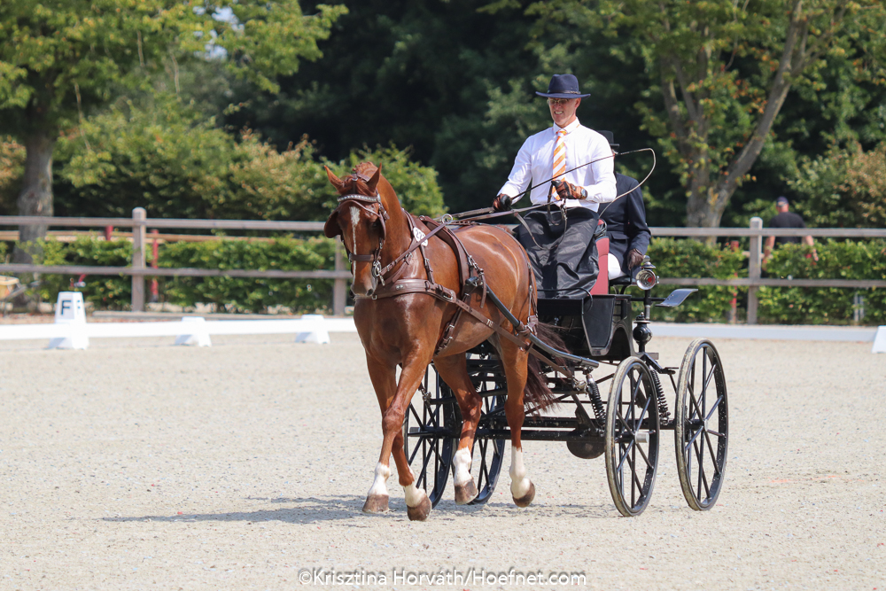 Exloo 2020: Dressage