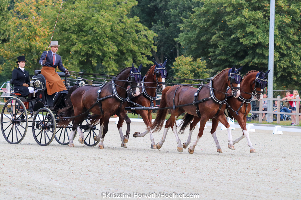 Bad luck for Belgian four-in-hand driver Glenn Geerts