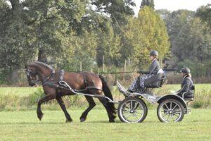 Nog plaatsen beschikbaar voor dressuurtraining Castellumruiters