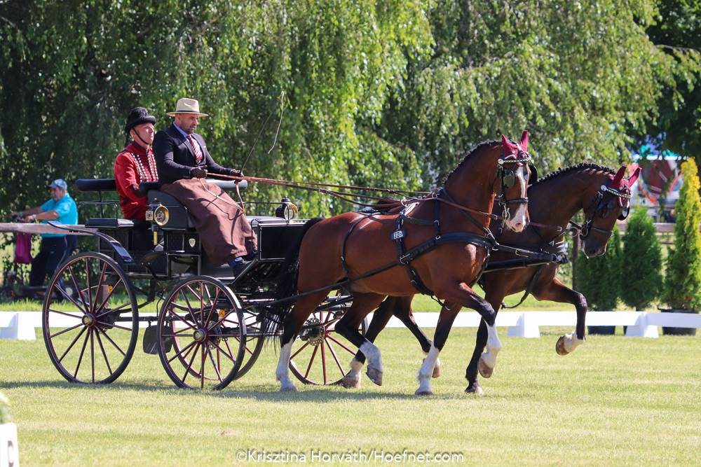 Vecsés 2020: Dressage