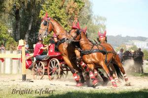 Switzerland names 2020 Champions in Bern