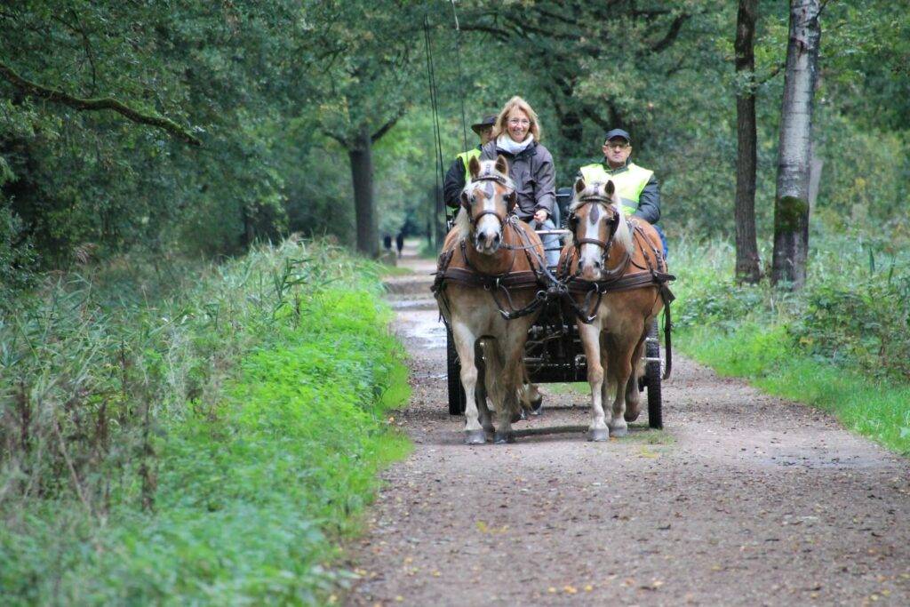 Ontspanning in coronatijd: Horse Escape Rit in Laar