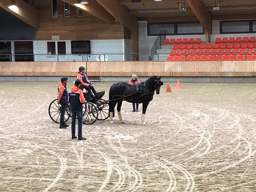 KNHS College Tour Mennen Vaardigheid met Saskia Siebers en Rudolf Pestman