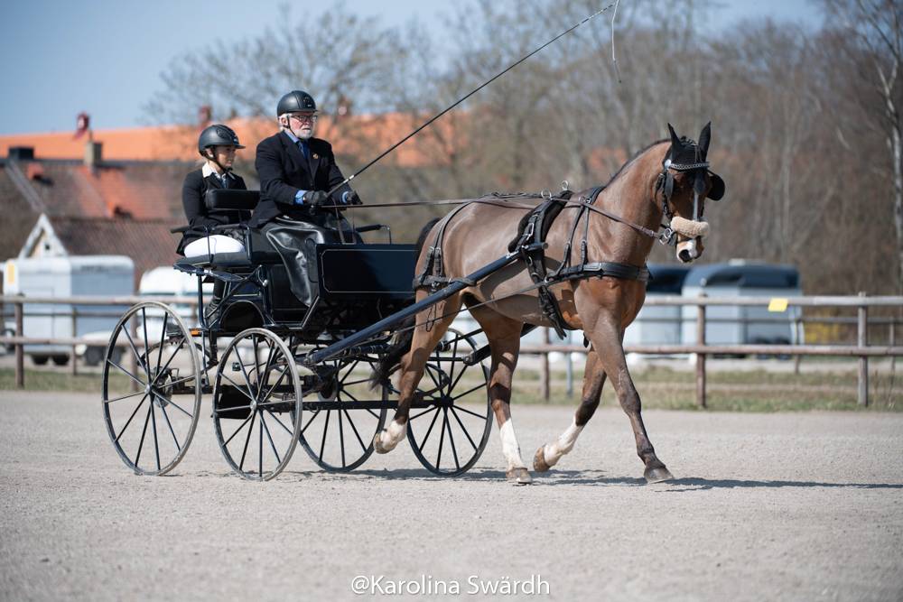 Training show Skånska Körsällskapet Flyinge 2021