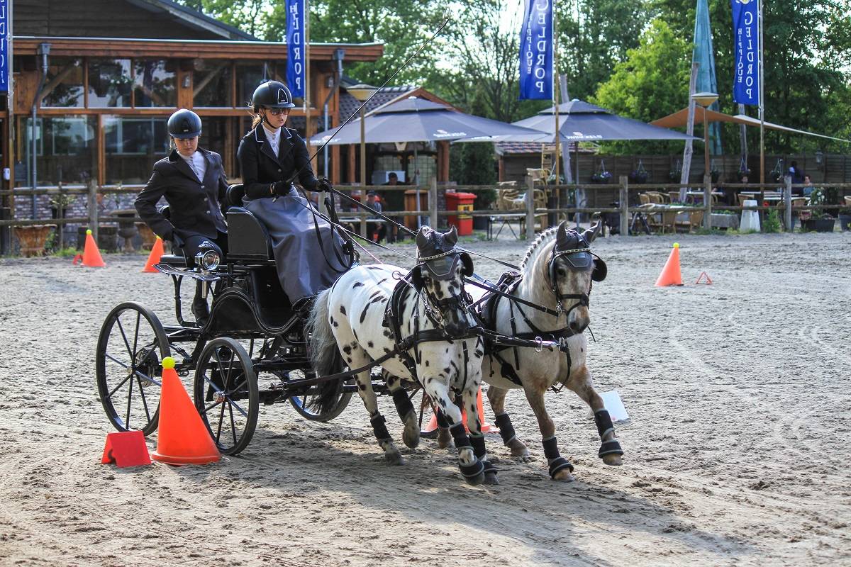 Trainingswedstrijd EK jeugdselectie Geldrop 29 en 30 mei