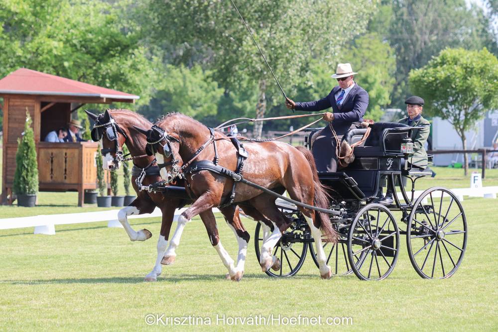 Vecsés 2021: Dressage