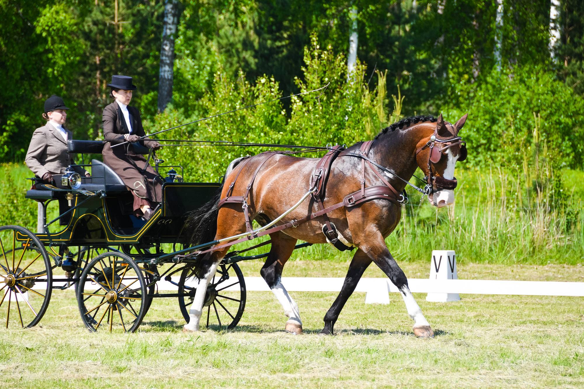 Pärnu 2021: Impression