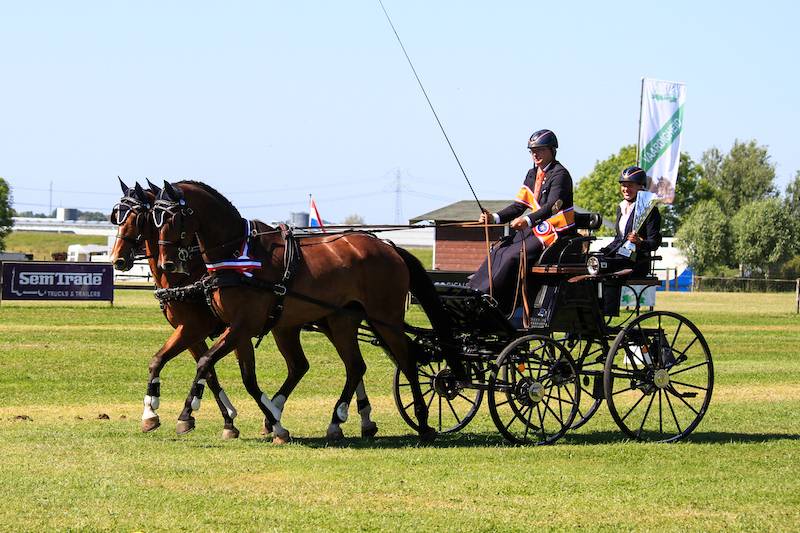 NK enkel- en tweespan paarden Maasdijk 2021: vaardigheid