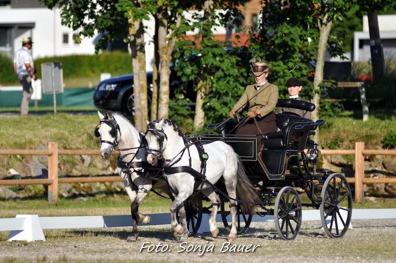 CAI & Austrian Championships Viechtwang 2021: Dressage Thursday