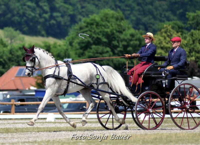 CAI & Austrian Championships Viechtwang 2021: Dressage Friday