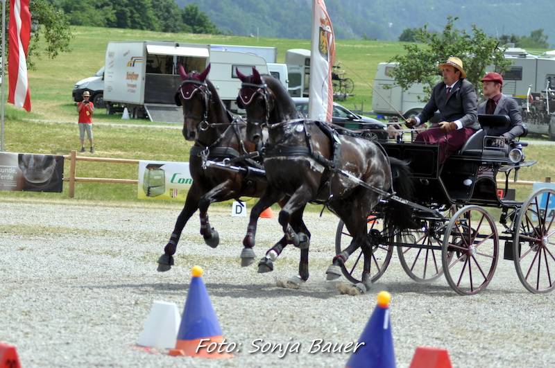 CAI & Austrian Championships Viechtwang 2021: Cones