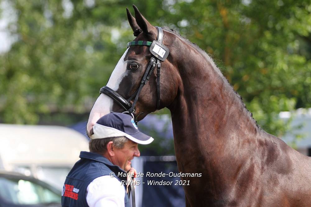 Windsor 2021: Horse Inspection