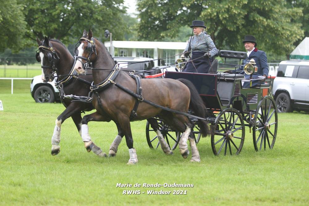 Windsor 2021: Cones & Prize-giving