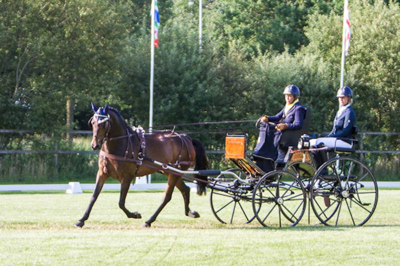 NK ponymennen & jeugd Oirschot 2021: Dressuur vrijdag