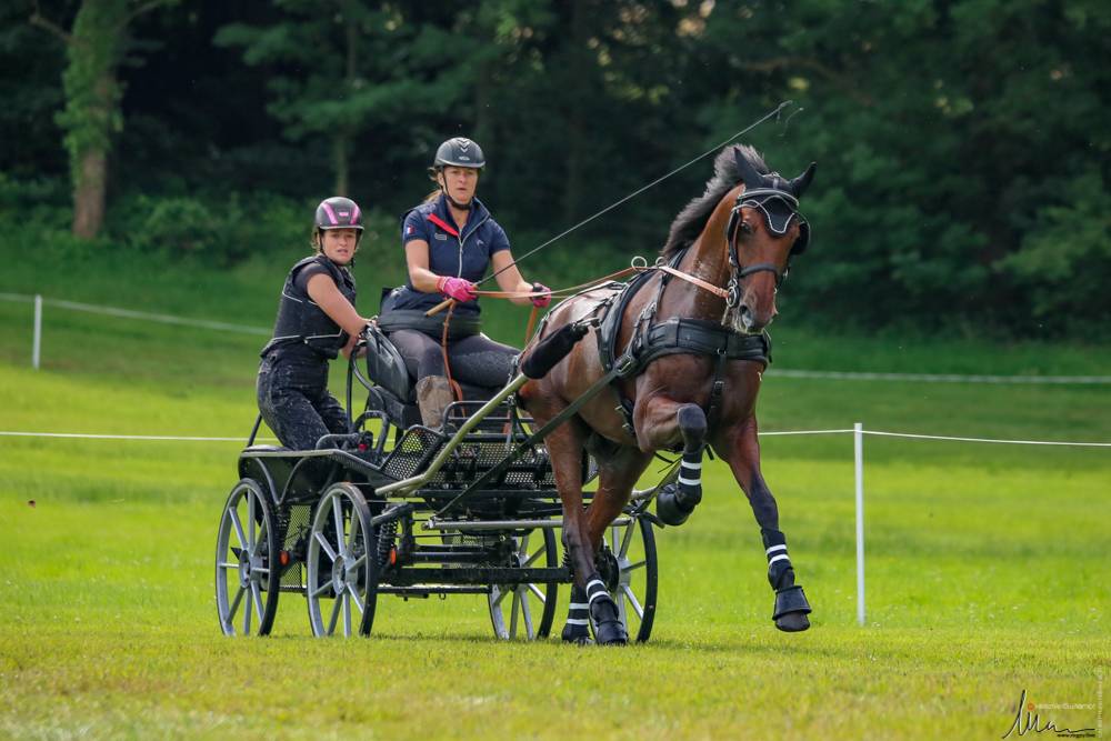 Le Pin au Haras 2021: Marathon