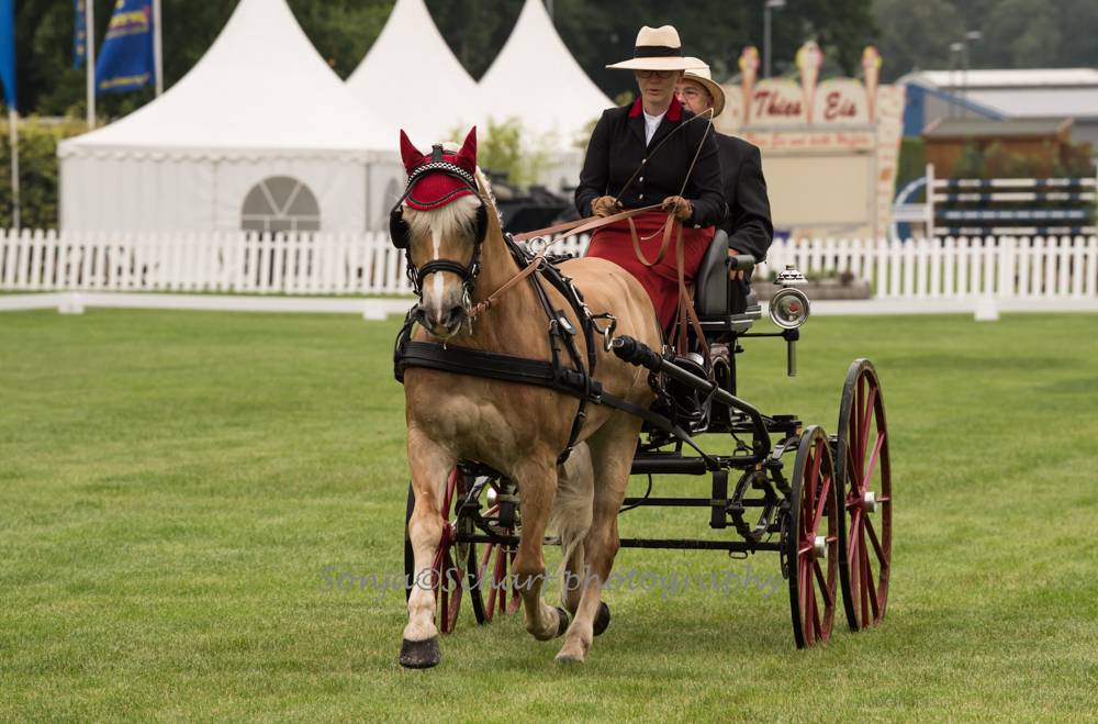 German Youth Championships Lähden 2021: Dressage