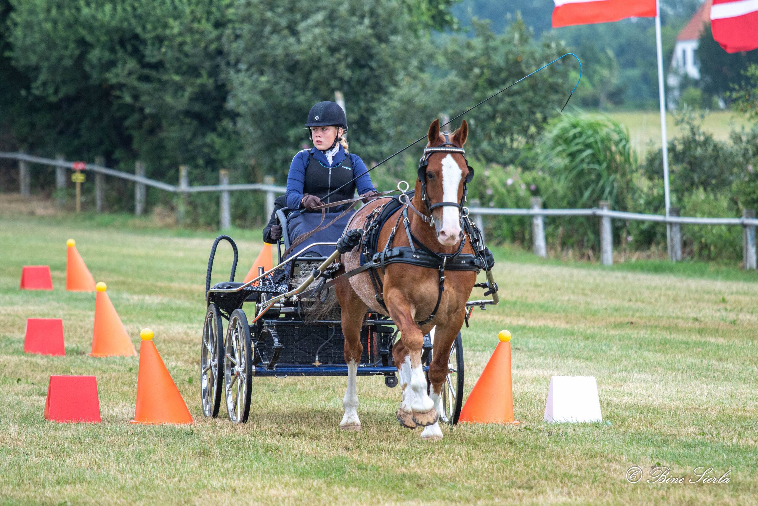 Nordic-Baltic and Danish Driving Championships Sommersted 2021: Cones