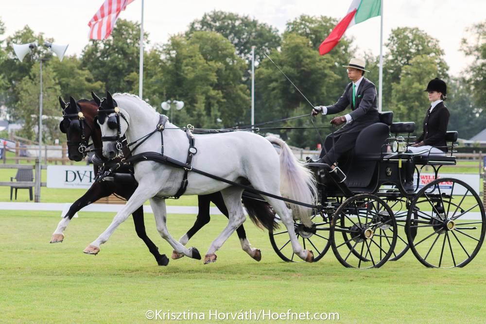 Valkenswaard 2021: Dressage Friday