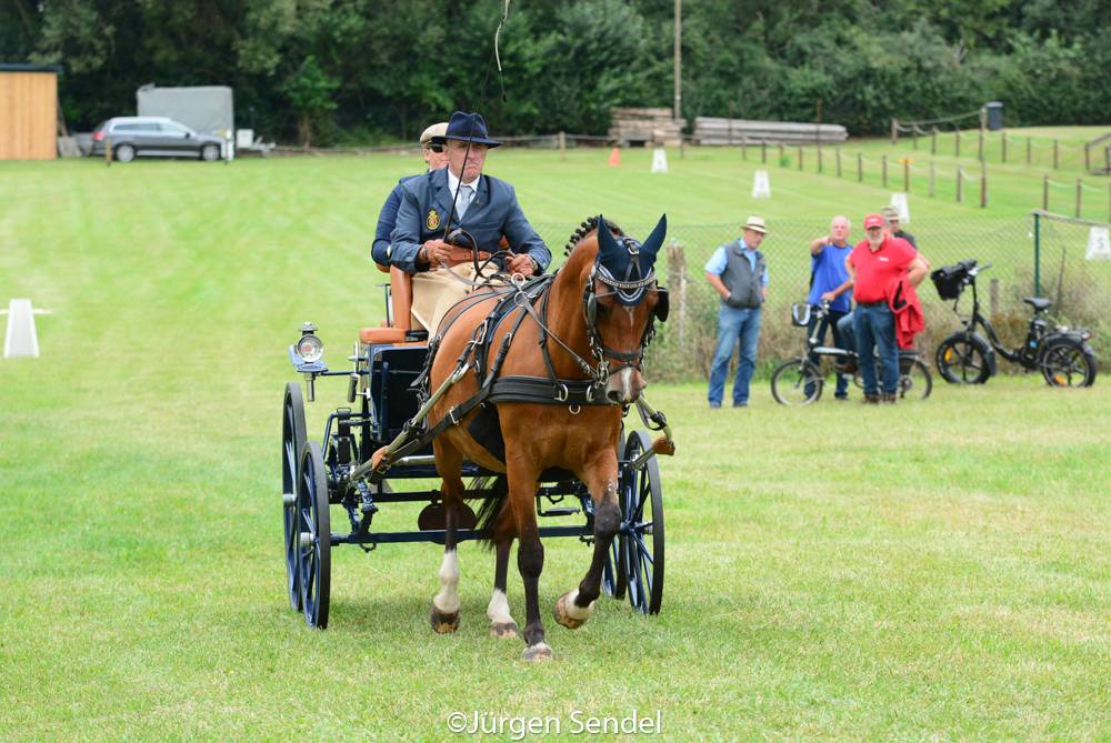 WCH Para Driving Schildau 2021: Dressage Thursday