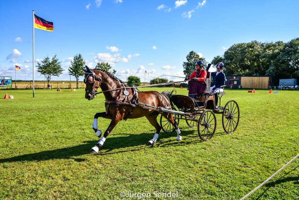 WCH Para Driving Schildau 2021: Prize Giving