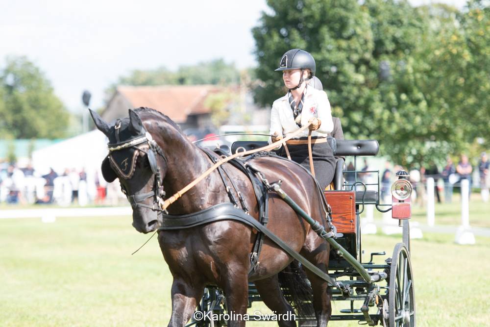 FEI Driving European Championship Youth Selestat 2021: Dressage Thursday