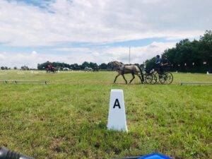 Schildau: Het wereldkampioenschap para-mennen is begonnen