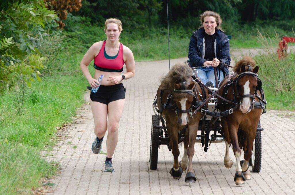 Winterswijkse menners doen een Ride & Run