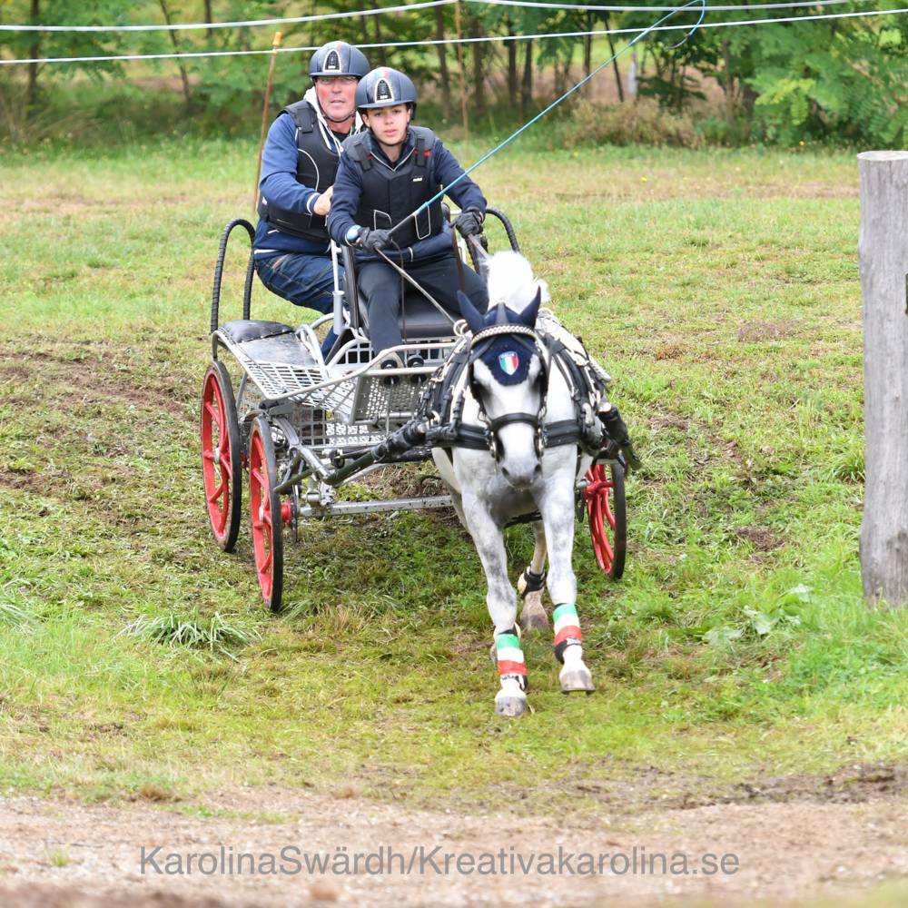 FEI Driving European Championship Youth Selestat 2021: Marathon