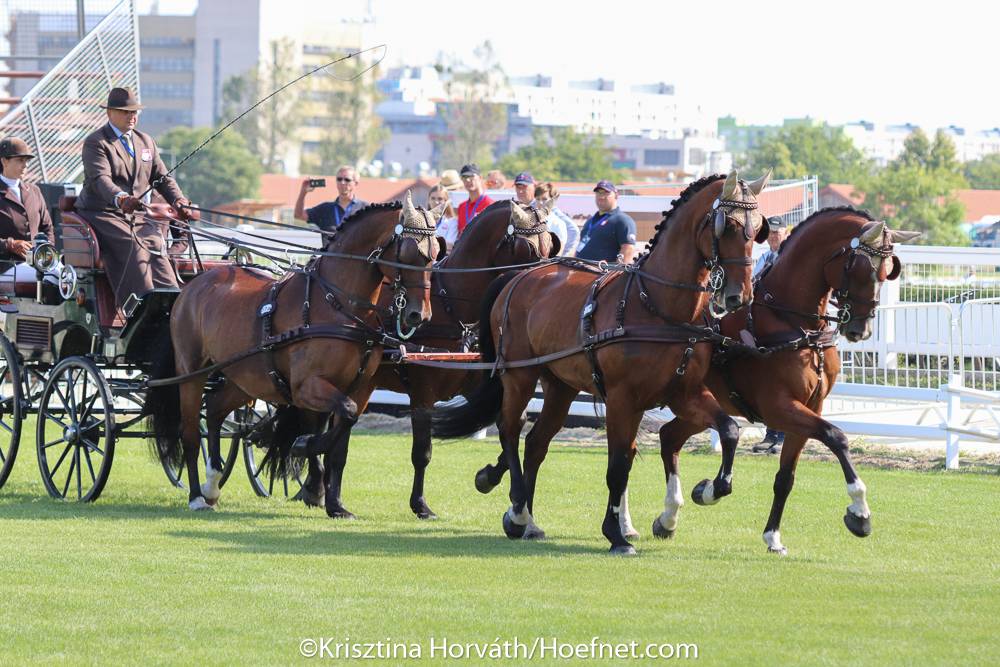 ECH Budapest 2021: Dressage Friday