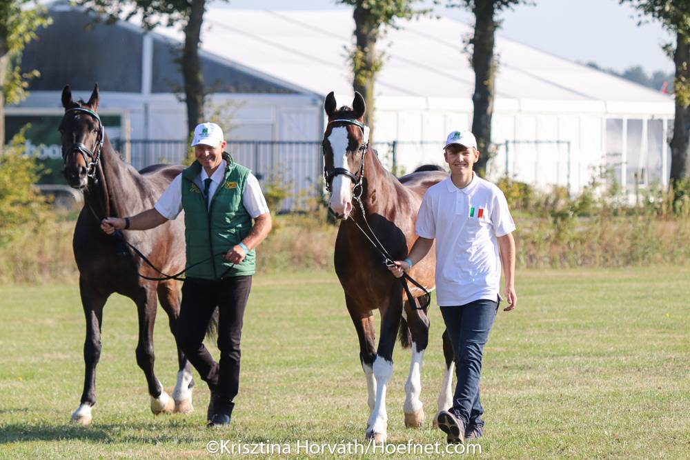 World Championships Pairs Kronenberg 2021: Horse Inspection