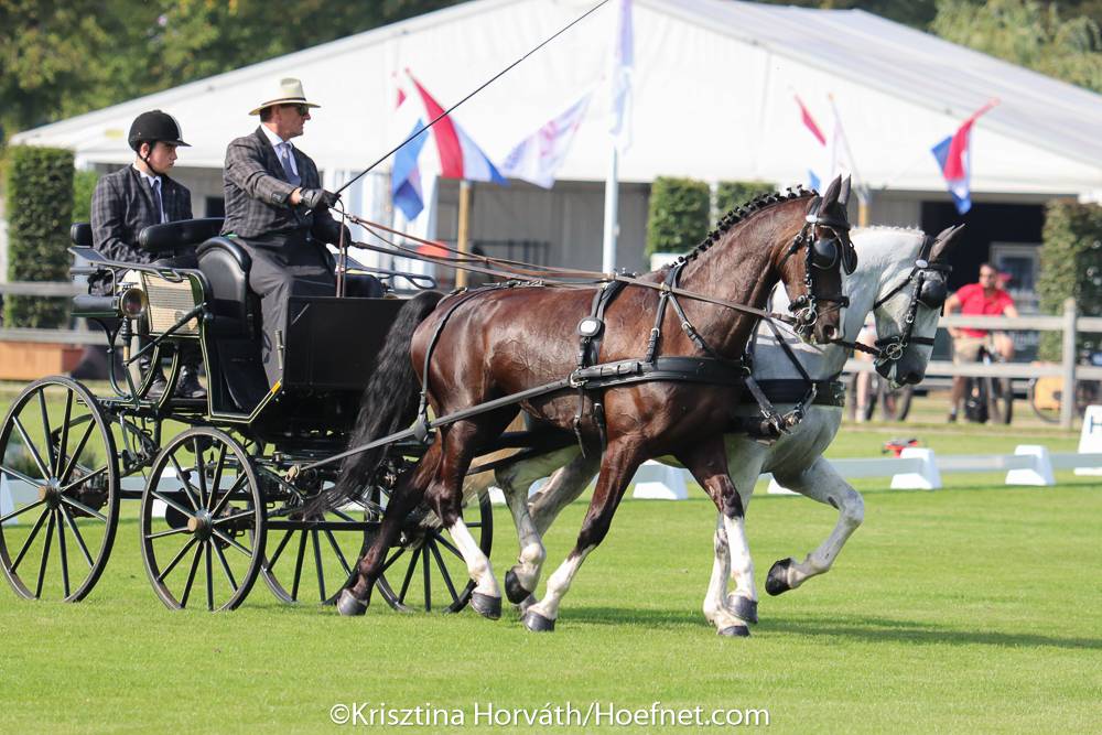 World Championships Pairs Kronenberg 2021: Dressage Thursday